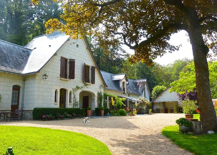 Domaine De Joreau Gennes-Val-de-Loire photo