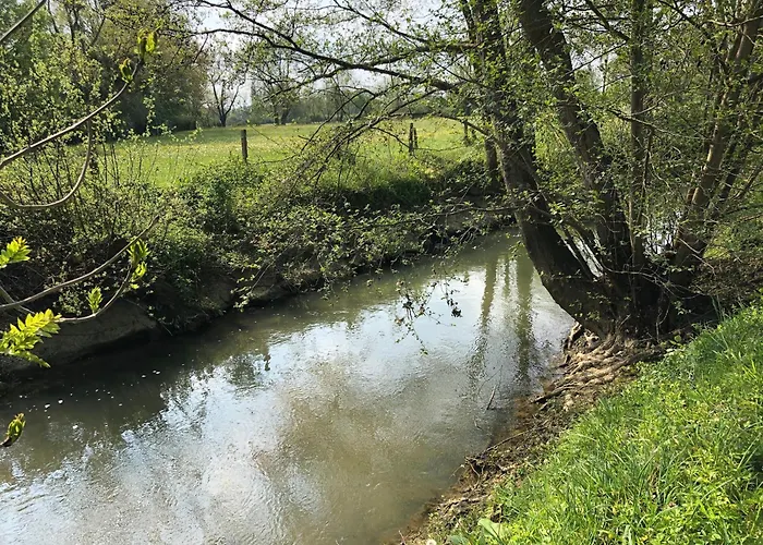 Gite Au Bord De L'Orne Avec Jardin Et Peche, Animaux Admis - Fr-1-410-323 Mezieres-sur-Ponthouinの写真