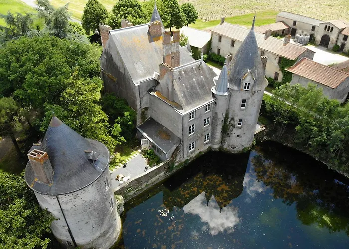 Chateau De La Preuille Bed & Breakfast Montaigu-Vendee photo