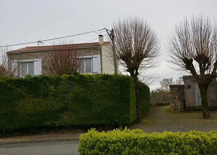 صورة Maison Authentique Avec Cour Privee, Wifi Et Proximite Activites - Thire, Vendee - Fr-1-426-396