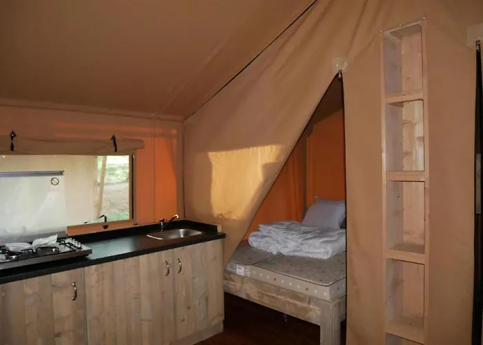 Photo de Camping de la Forêt Seasonova Sillé-le-Guillaume