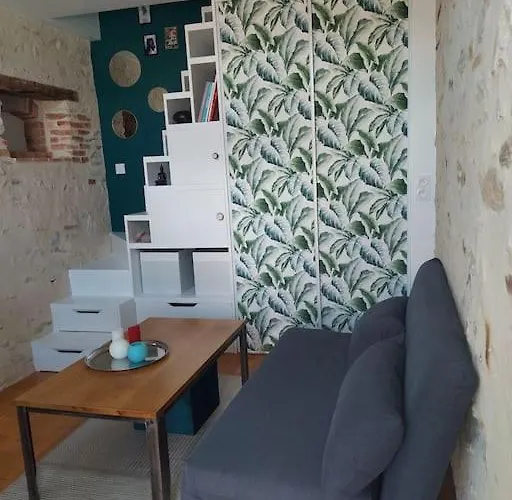 Petite Maison Independante Briollay photo