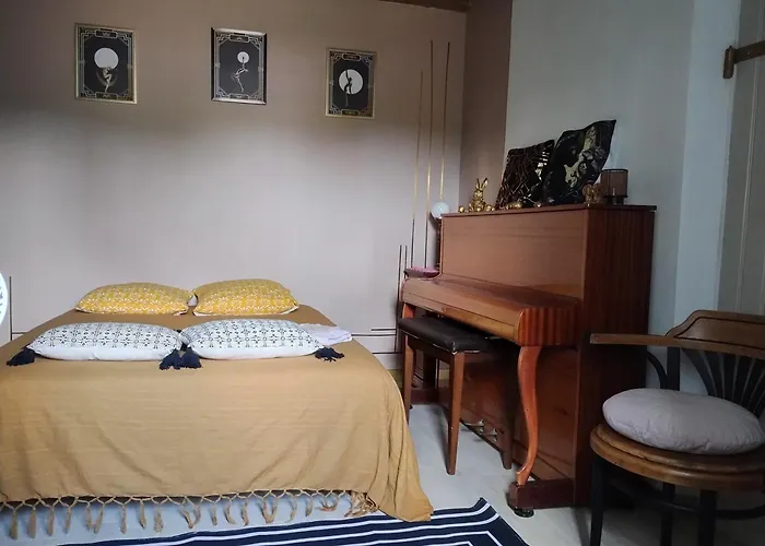 Le paradis des chats bercéen chez Stéphanie près circuit du Mans, animaux acceptés Marigne-Laille foto