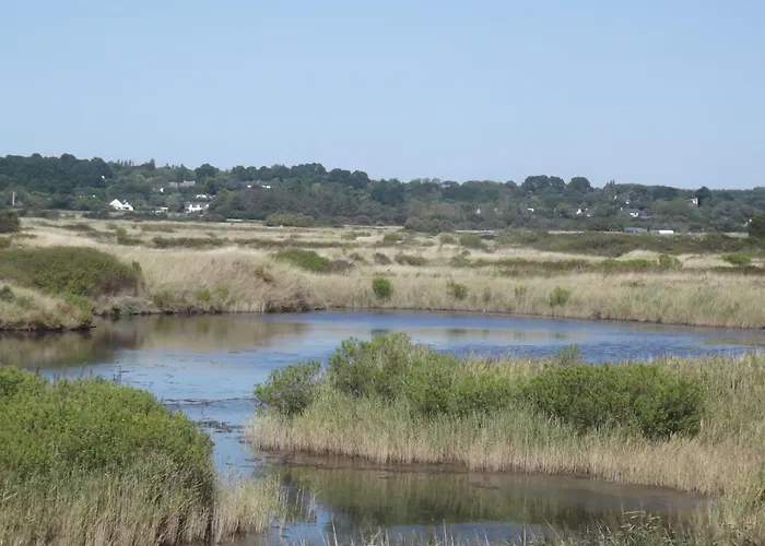 A Cote Des Plages Et Des Marais Salants De Guérande foto