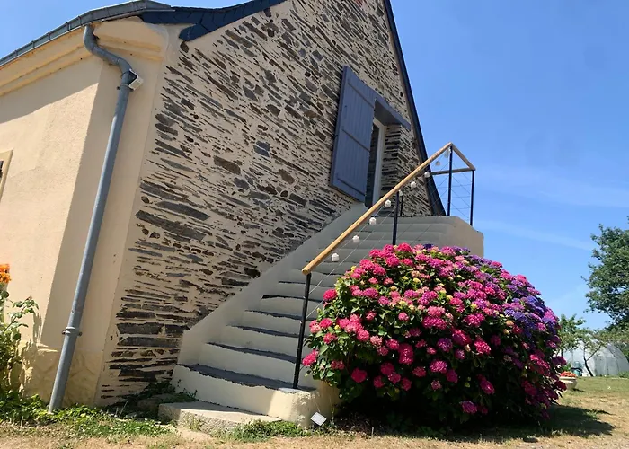 Appartement A La Bourreliere 2-4 Pers, Meuble De Tourisme 3 Etoiles Le Louroux-Béconnais fotorgafie