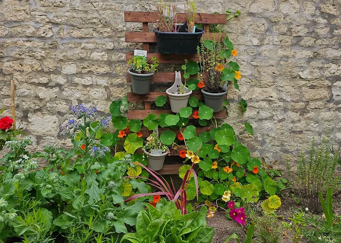 صورة Luçon La Maison De Venus