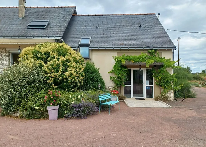 Le Logis Du Livier Ξενοδοχείο Saint-Georges-sur-Layon φωτογραφία