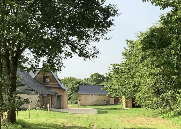 Le Plessis Aux Oiseaux 호텔 Saint-Fort 사진