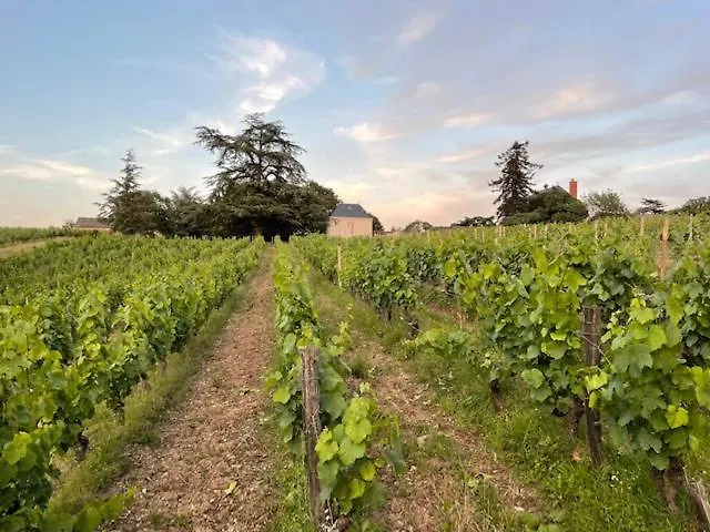 Bed and Breakfast Pavillon Du Xixeme Au Milieu Des Vignes Soulaines-sur-Aubance zdjęcie