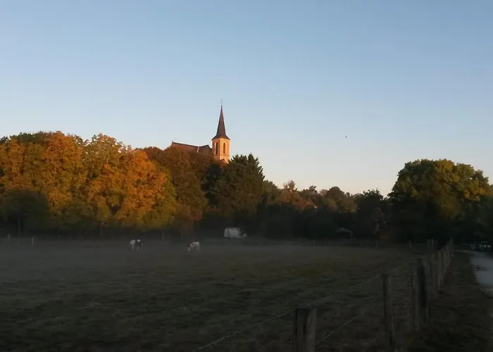 Chambres D'Hotes Le Fer A Cheval Montreuil-sur-Maine φωτογραφία