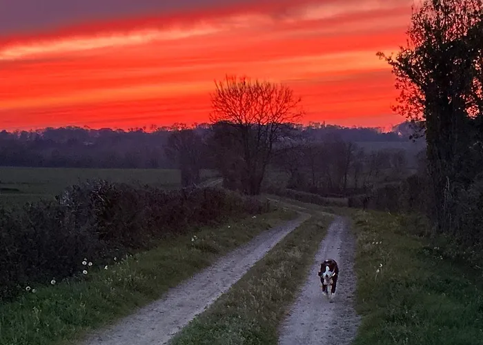 Gite Du Rossignol A 5 Minutes Du Chateau De La Citardiere Et A 14 Minutes Du Chateau De Bourneau Mervent照片