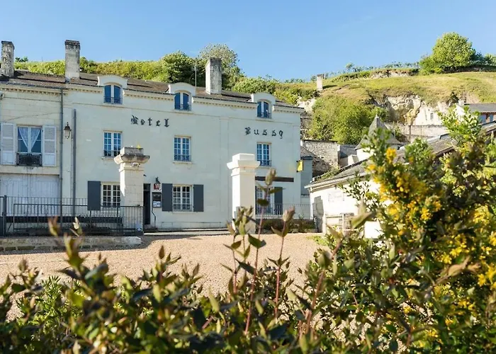 Logis Hotel Le Bussy Montsoreau foto