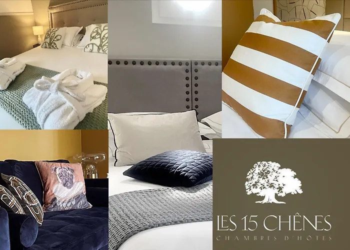 Les 15 Chenes Chambres D Hotes, Parc Arbore De 5000 M2 A 20Km Du Puydufou Une Suite Familiale Et 3 Chambres Doubles Saint-Mesmin  사진