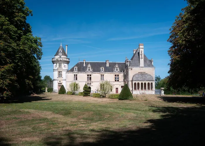 Chateau De La Court D'Aron Saint-Cyr-en-Talmondais foto