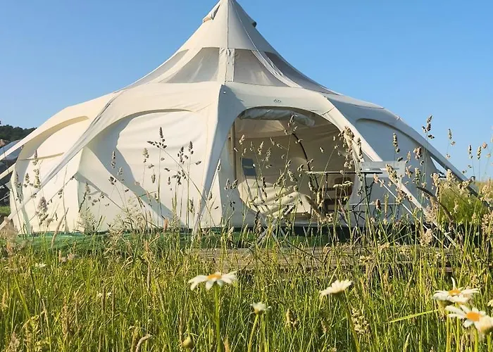fotos do Ecodomaine Rêver Ailleurs - séjour insolite à la ferme Champfrémont