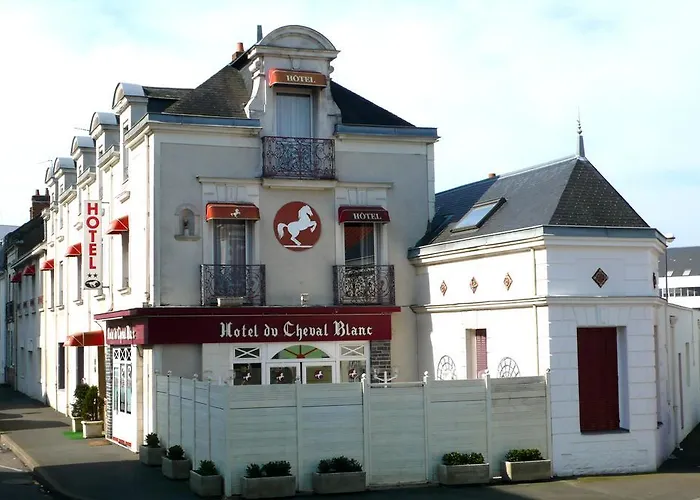 Hotel Du Cheval Blanc Reze photo