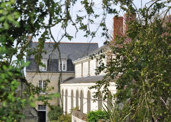 Manoir De Boisairault Bed & Breakfast Le Coudray-Macouard photo