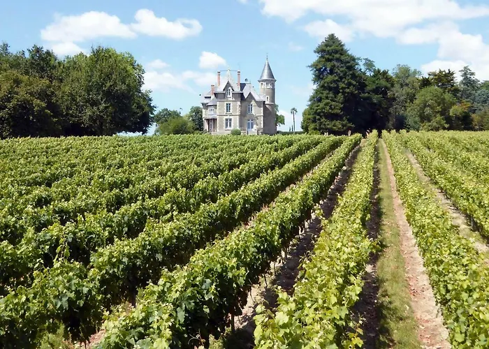 Chateau Breduriere Moutiers-sur-le-Lay photo