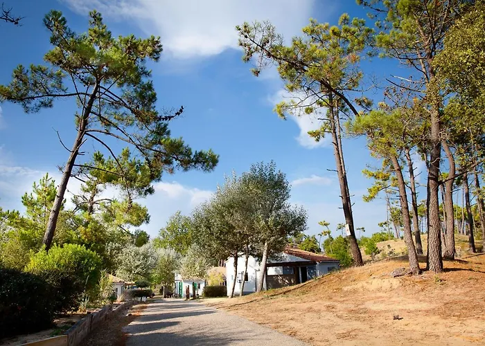 Village Vacances Le Petit Bec Saint-Hilaire-de-Riez photo